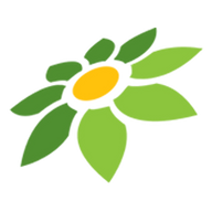 LINK KAKAKDEWA